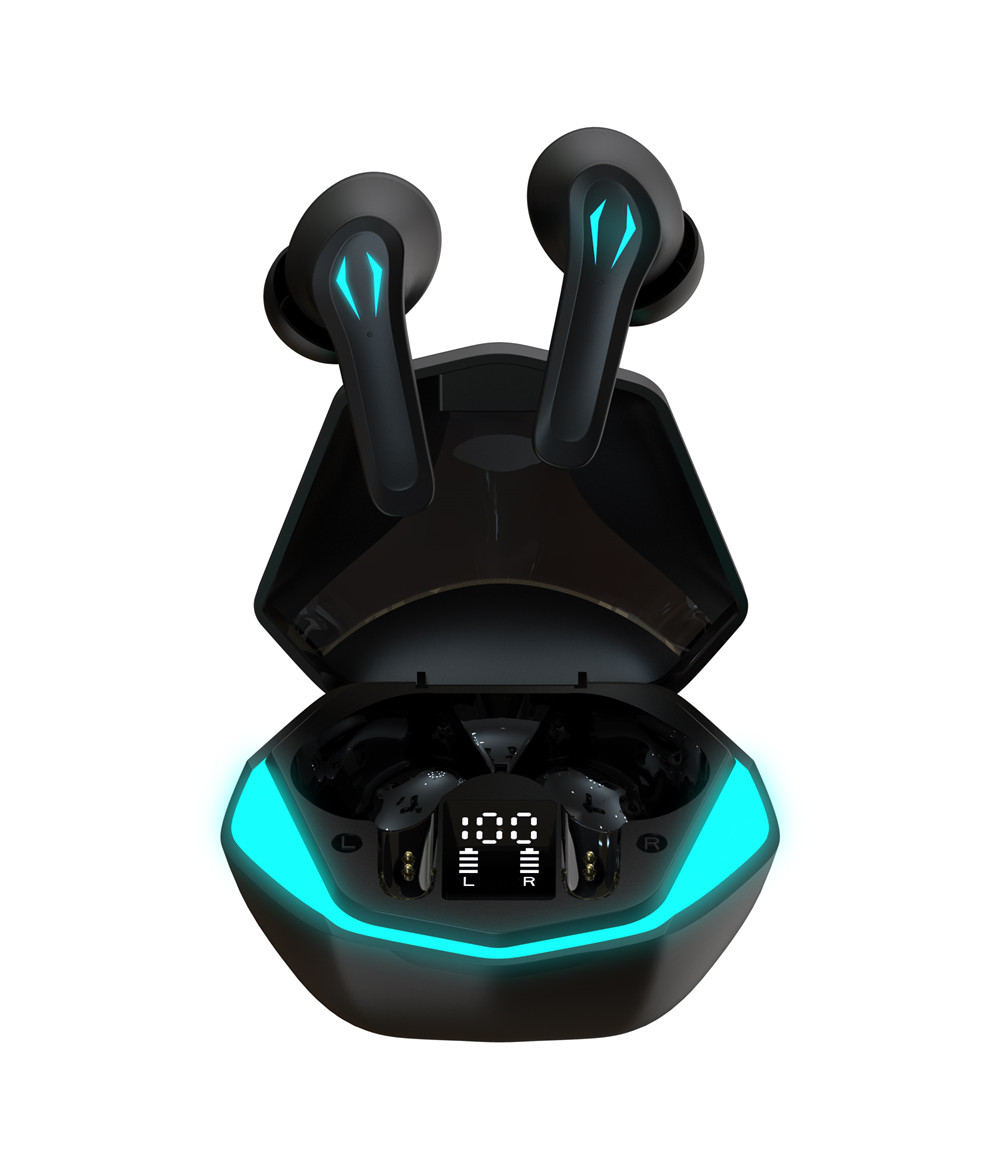 Pro Earbuds